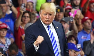 Donald Trump strikes a fist as he salutes supporters at a political rally